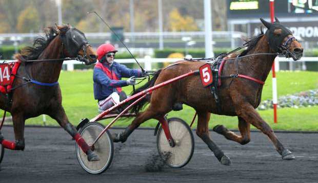 Cheval AUBRION DU GERS